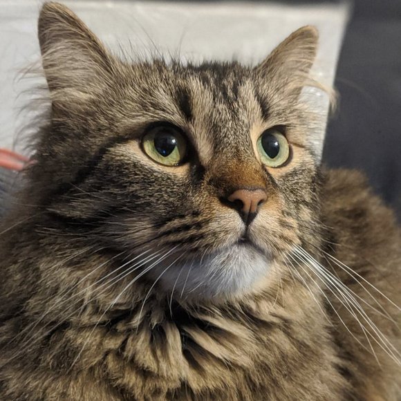 Hai everyone! - Picture 2 of 3